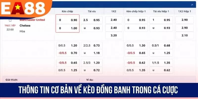 Thông tin cơ bản về kèo đồng banh trong cá cược